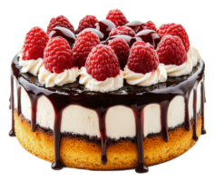 Raspberry chocolate cake with creamy layers, cut out - stock . png