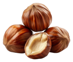 Fresh hazelnuts displayed with one cut open, cut out - stock . png