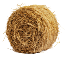 Round hay bale sitting alone on a white background, cut out - stock . png