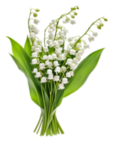 Beautiful bouquet of white lilies of the valley, cut out - stock . png