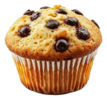 Delicious muffin with chocolate chips on display, cut out - stock . png