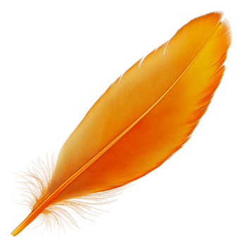 brillante naranja pluma acostado en un blanco superficie, cortar fuera - valores . png