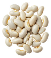 White beans scattered on clean surface for display, cut out - stock . png
