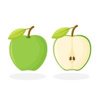 Green Apple Icon. Green apples that are split in half from the white background. vector