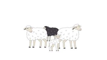 Fluffy sheep with lamp small flock 2D characters animation. Small cattle breeding industry cartoon 4K , alpha channel. Farm animals grazing together animated personages on white background video
