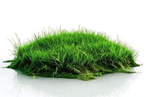 Green grass island isolate on white background, 3d rendering photo