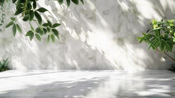 Elegant presentation with white wall, foliage shadow, and marble floor. Perfect for cosmetics advertising. photo