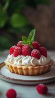 Close-up of raspberry tart with cream mint and fresh raspberries on a plate in natural light setting photo