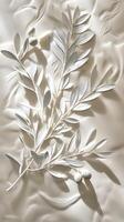 Delicate white olive branch with leaves and fruits on a white background, subtle matte texture. photo