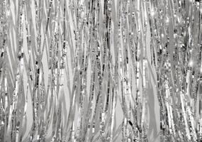 Shiny metallic silver background with crumpled, textured foil pattern. Reflective surface with light photo