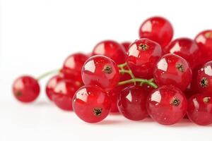 vibrant, juicy red currants on a clean, bright white background. The focus is on the bright red photo
