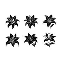 and Line Art Design of Lily Flower vector
