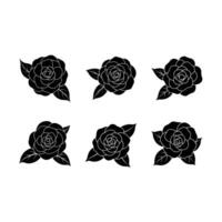 Camellia Flower and Line Art Design for Digital Use vector