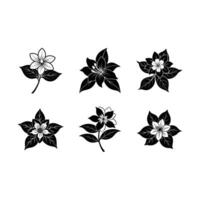 Beautiful jasmine flower and line art design, perfect for various creative projects vector
