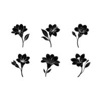 Freesia floral AI and line art design, perfect for elegant and modern digital prints. vector
