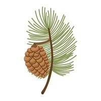 Green branch with a cone illustration on a white background. Can be used for autumn or winter timatics vector