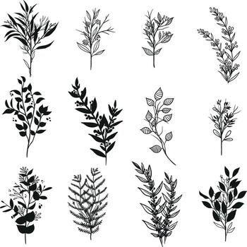 Illustrator work elements vector