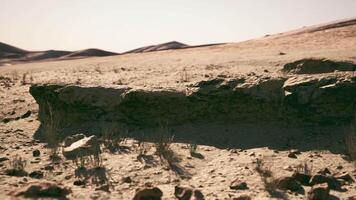 Rock formations and arid landscape in Mongolia during midday sun heat video