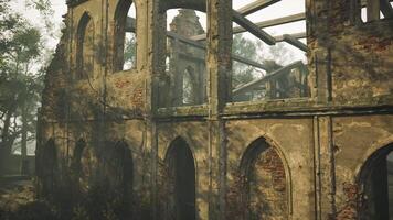 Abandoned stone building surrounded by trees in a misty landscape at dawn video