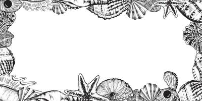 Hand-drawn ink illustration. Black and white. Rectangular frame with sea shells, stars and pearls. vector