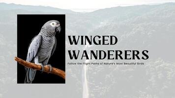 Black White Modern Bird Youtube Channels template