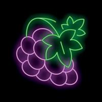 Bright neon sign showing a bunch of grapes with leaf on black background vector