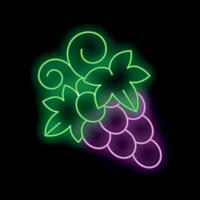 Glowing neon sign depicting bunch of ripe grapes with leaves vector