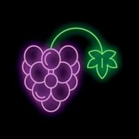 Glowing neon sign showing a bunch of grapes with leaf on black background vector