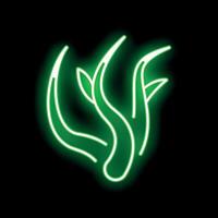 Green neon sign representing seaweed algae on a black background vector