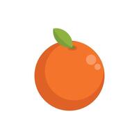 Fresh round orange with leaf on white background vector