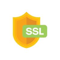 Golden shield providing ssl technology data protection vector