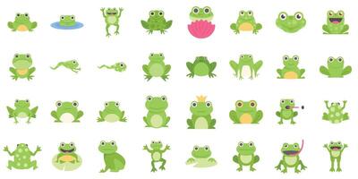 Set of green frogs in different poses and actions vector