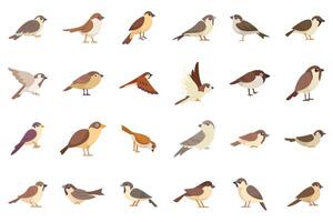 Collection of sparrows perching, flying and pecking vector