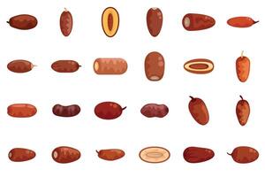 Set of dates fruit icons showing different sorts of dates vector