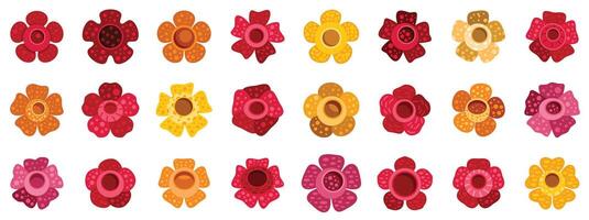 Rafflesia flower icon set showing different colors and shapes vector