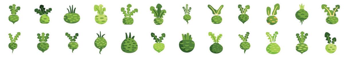 Set of kohlrabi cabbage icons showing different root vegetables vector