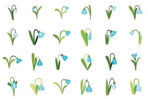 Set of snowdrop icons showing different positions and shapes vector
