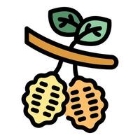 Branch with two ripe mulberry fruits growing on it icon vector