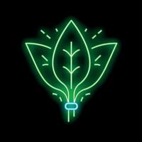 Neon green leaves glowing on black background vector