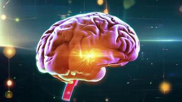 Digital brain glowing colorful human AI 3D virtual thinking modern lab research imagination creativity skill technology intelligence idea innovation concept mind office business tech video