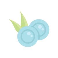 Two blueberries with leaves growing in harmony vector