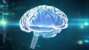 Digital brain glowing colorful human AI 3D virtual thinking modern lab research imagination creativity skill technology intelligence idea innovation concept mind office business tech video