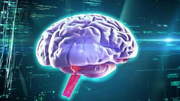 Digital brain glowing colorful human AI 3D virtual thinking modern lab research imagination creativity skill technology intelligence idea innovation concept mind office business tech video