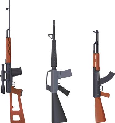 Modern Tactical Rifle