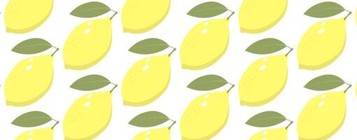 Seamless pattern fruit lemon on a white background. vector