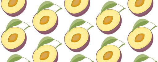 Seamless pattern plum fruit on a white background. vector
