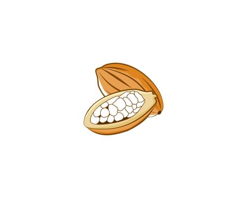 colored cacao illustration without leaf