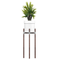 3d Rendering Of Indoor Plant in pot With Transparent Canvas png