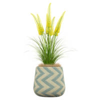 3d illustration of Foxtail lily plant isolated on transparent canvas png