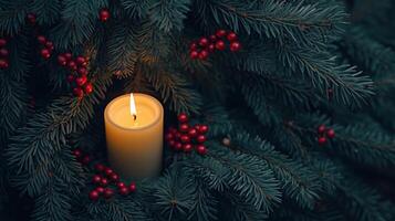 Close up of a candle in a spruce tree with berries photo